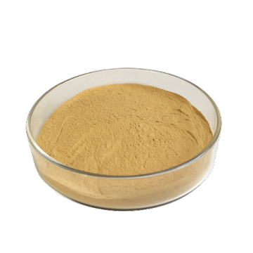 Animal Feed Ingredients Choline Chloride